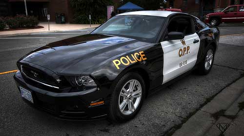 Police Car Mustang
